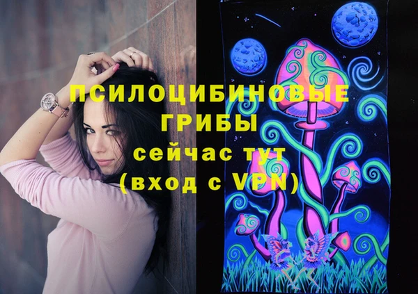 дурь Белокуриха
