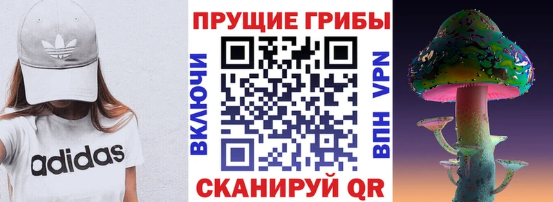 Псилоцибиновые грибы прущие грибы  купить наркотик  Славянск-на-Кубани 